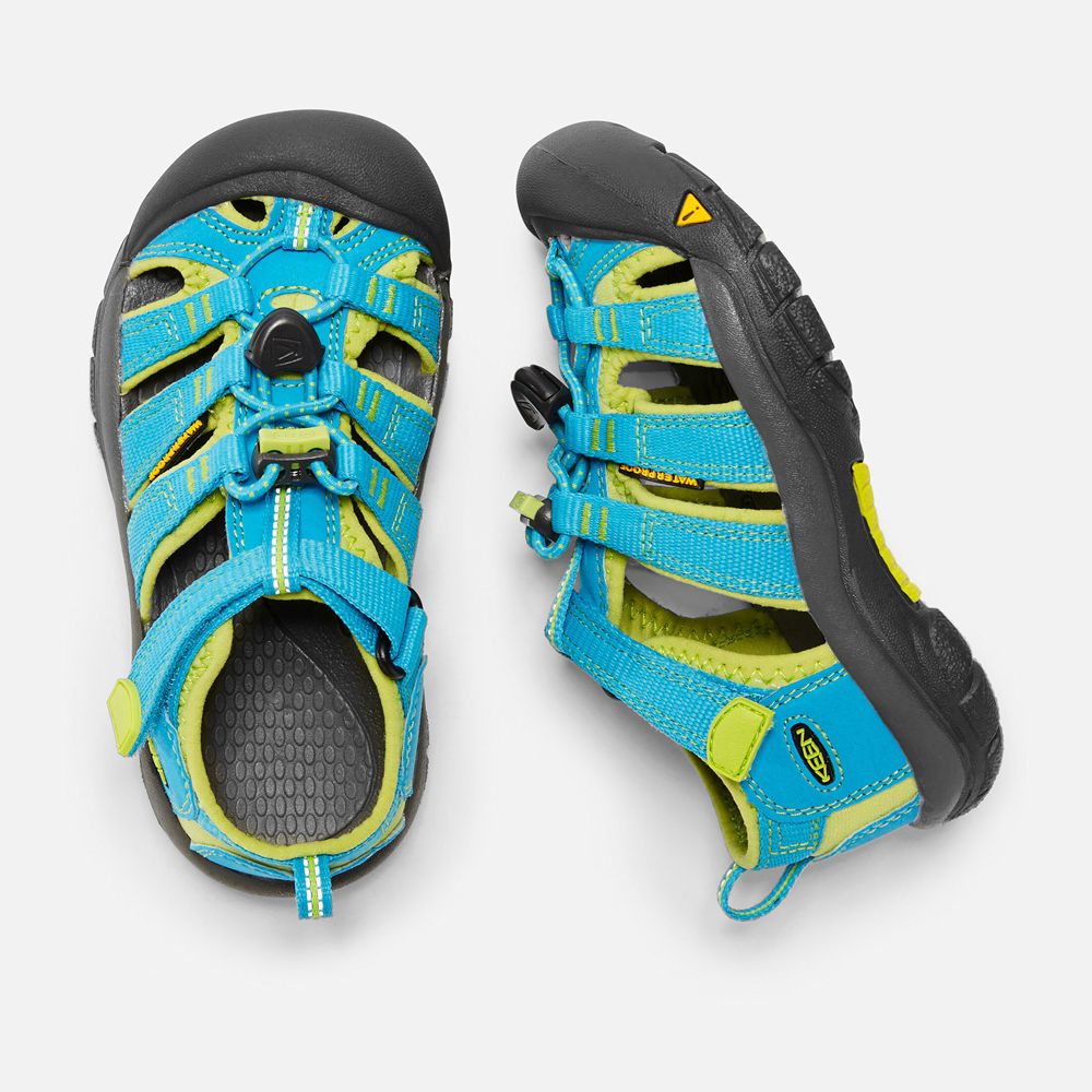 Sandalias Keen Mexico Azules/Verdes - Niños Newport H2 - CM4931872